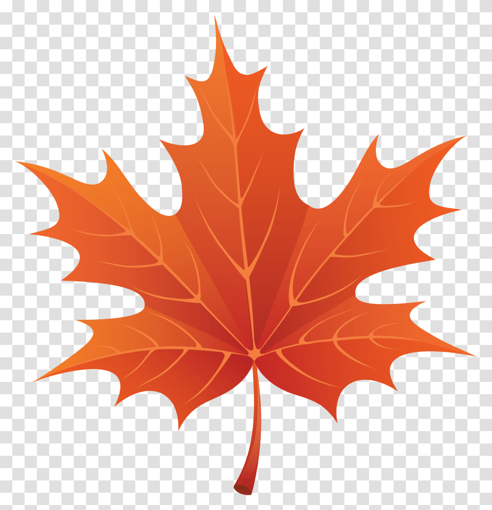 Red Autumn Leaf Clipart Image Fall Leaf Cartoon, Plant, Tree, Maple, Bonfire Transparent Png