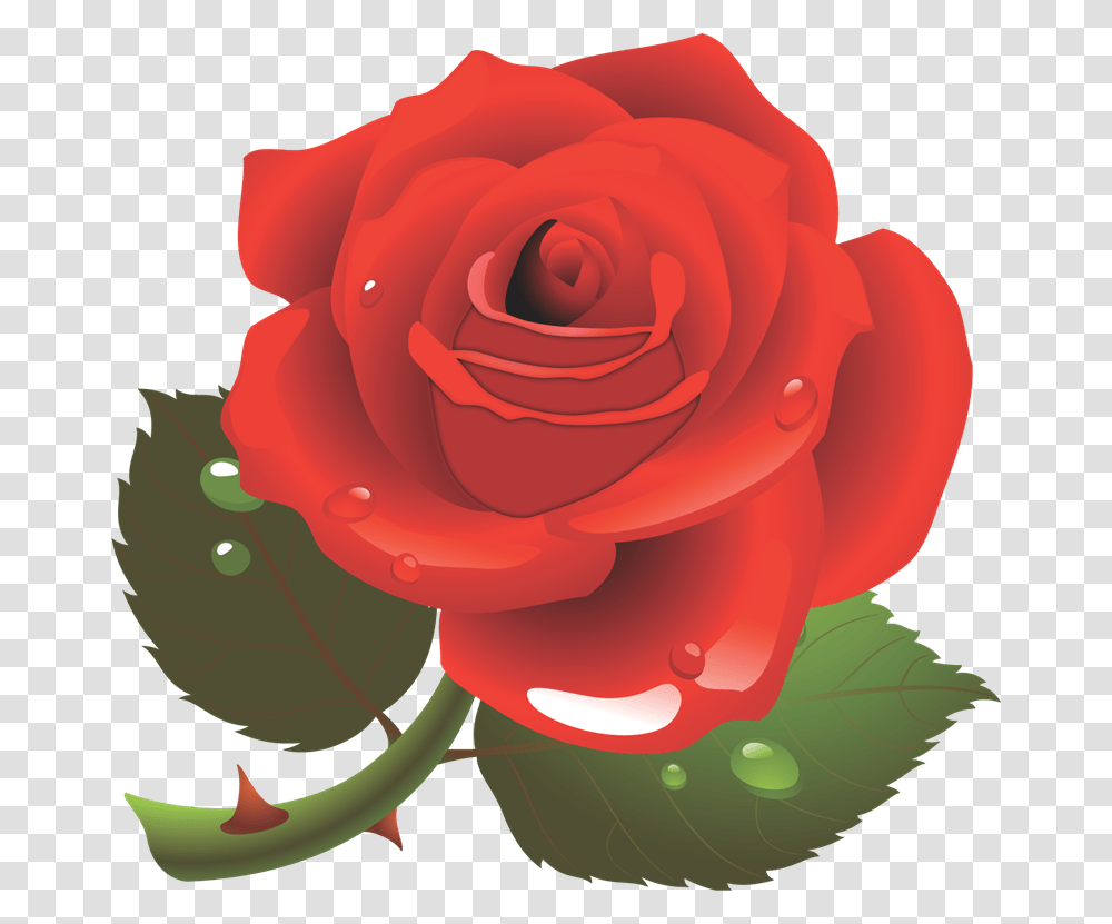 Red Background Rose Clipart, Flower, Plant, Blossom, Petal Transparent Png