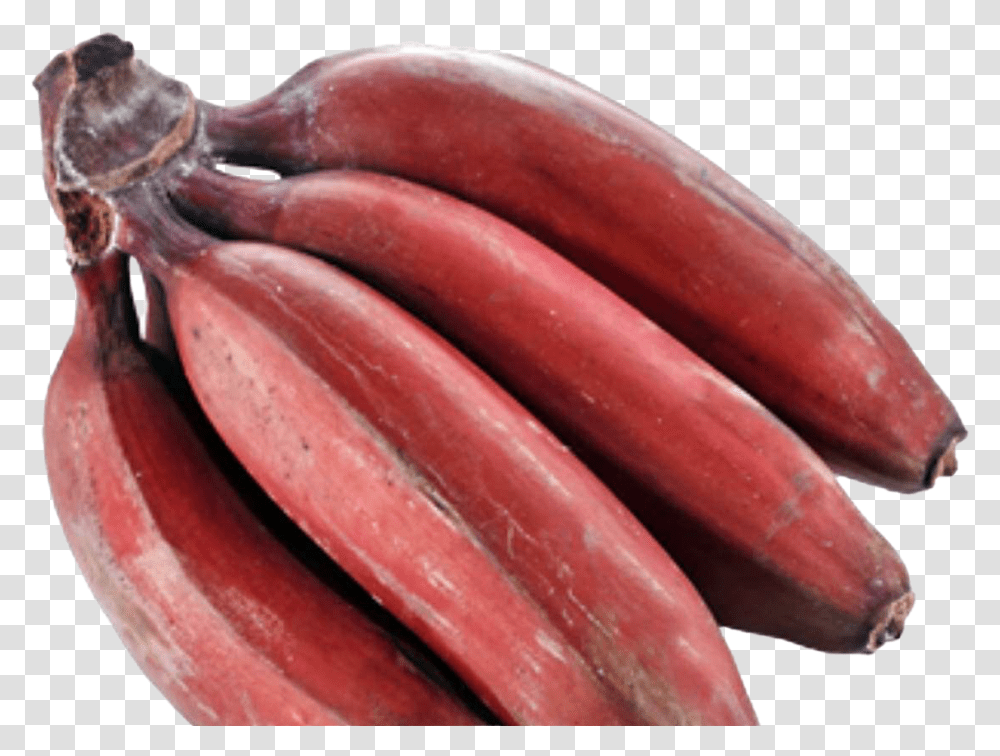 Red Banana Image Download, Plant, Food, Fruit, Vegetable Transparent Png