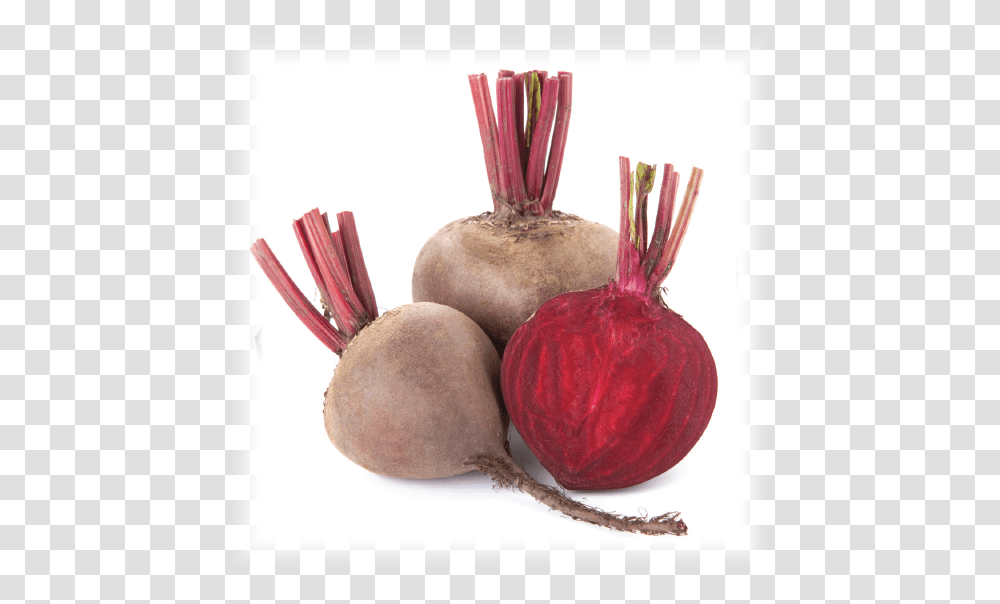 Red Beet, Plant, Turnip, Produce, Vegetable Transparent Png