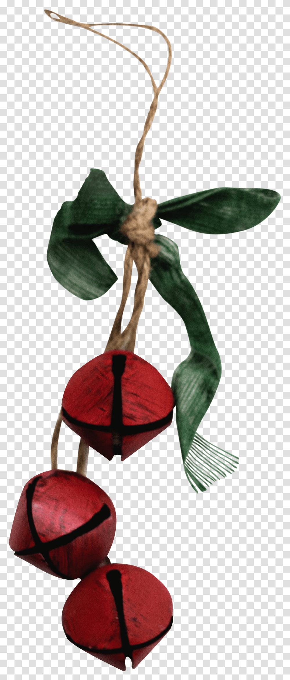 Red Bell Decor - For Free Laceleaf, Plant, Flower, Blossom, Araceae Transparent Png