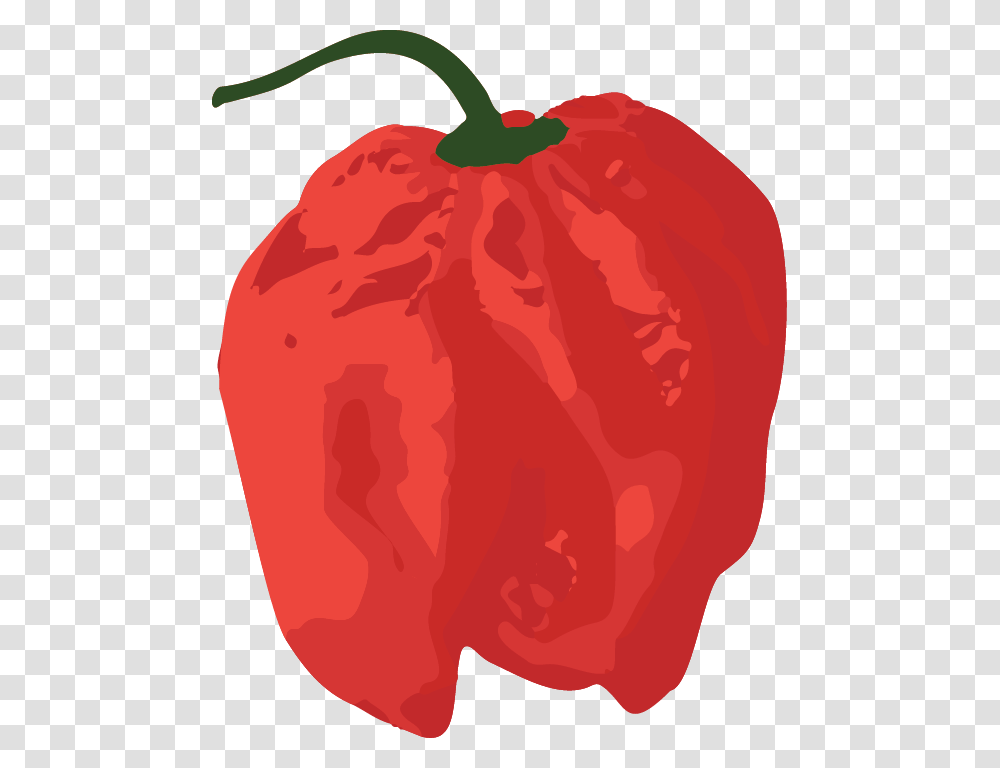 Red Bell Pepper Clipart Download Red Bell Pepper, Plant, Food, Fruit, Vegetable Transparent Png