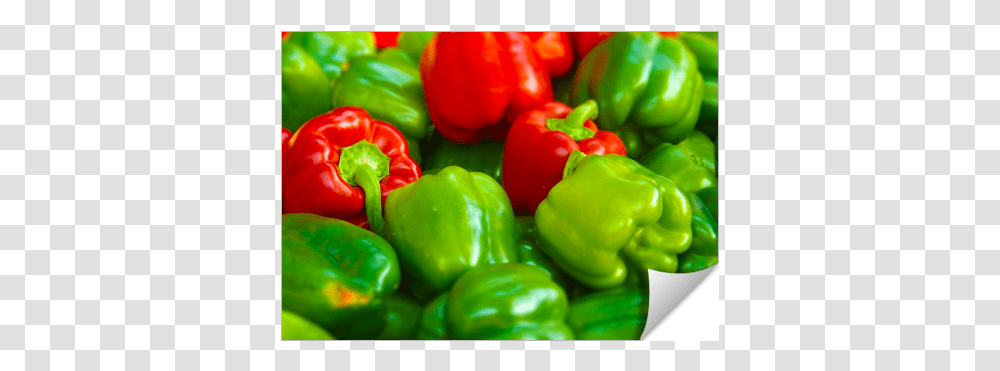 Red Bell Pepper, Plant, Vegetable, Food, Produce Transparent Png
