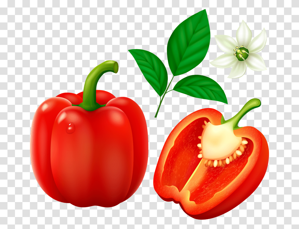 Red Bell Pepper, Plant, Vegetable, Food Transparent Png