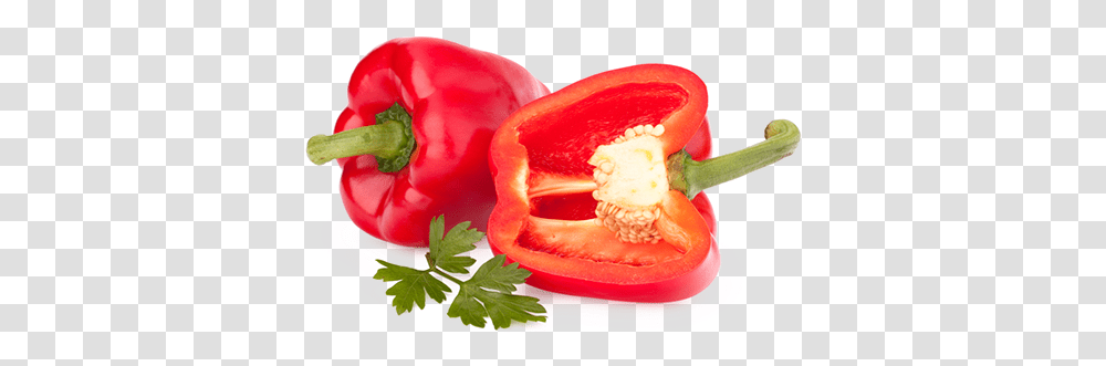 Red Bell Pepper, Plant, Vegetable, Food, Vase Transparent Png