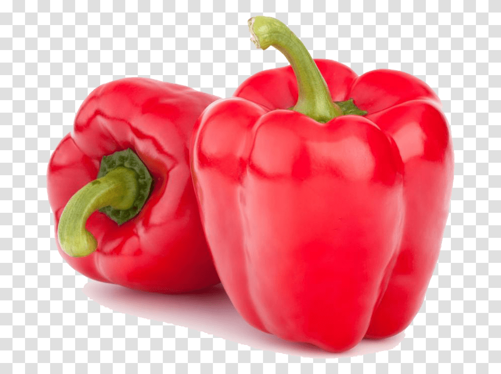 Red Bell Pepper Red Bell Pepper, Plant, Rose, Flower, Blossom Transparent Png