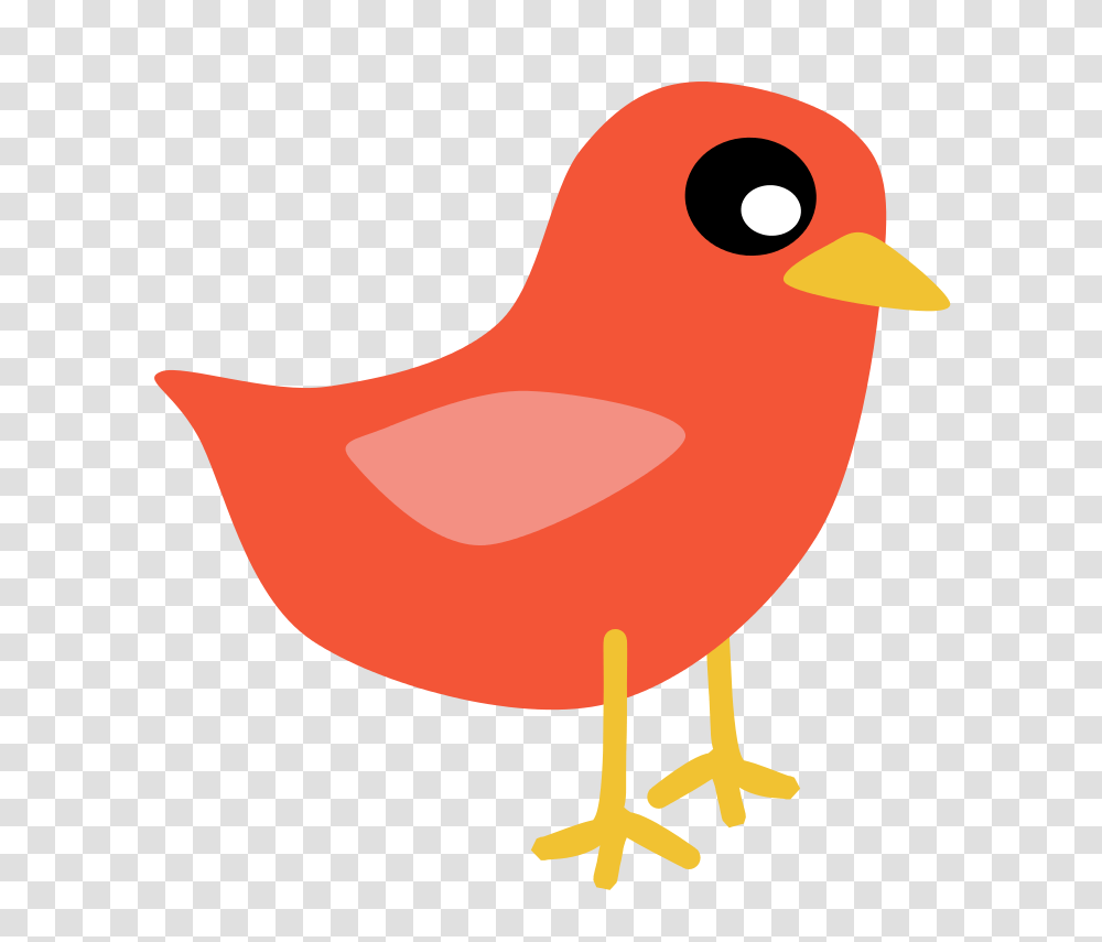 Red Bird, Animals, Poultry, Fowl, Chicken Transparent Png