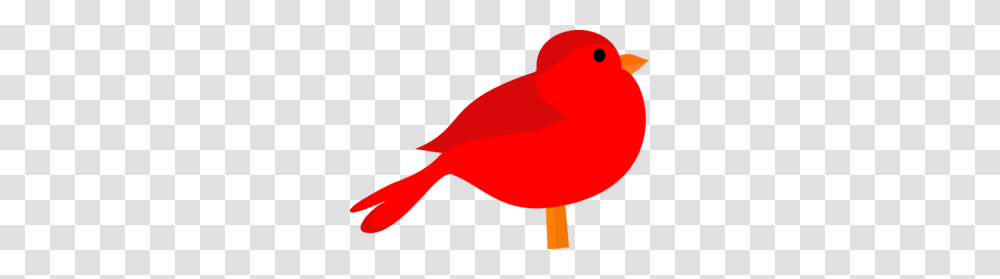 Red Bird Clip Art, Animal, Flamingo, Canary Transparent Png