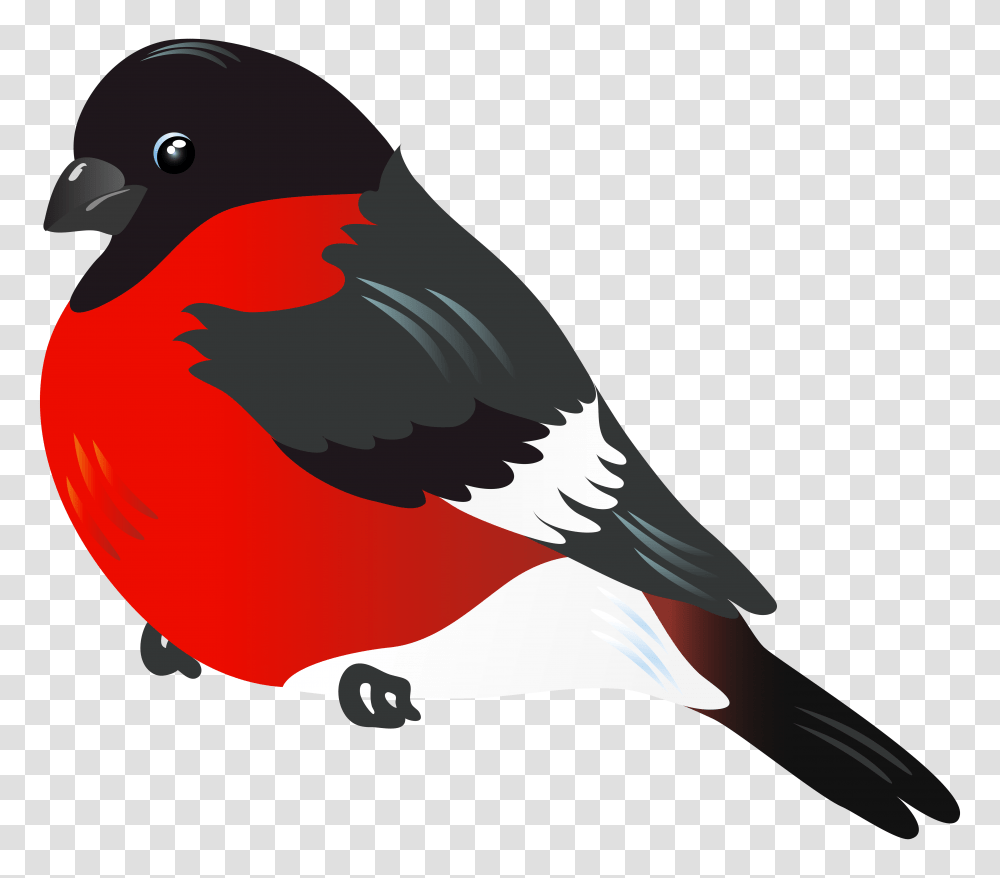 Red Bird Clipart, Animal, Finch, Magpie, Beak Transparent Png