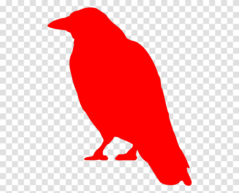 Red Bird Svg Clip Arts Download Download Clip Art Brief Intervals Of Horrible Sanity, Animal, Person, Human, Canary Transparent Png