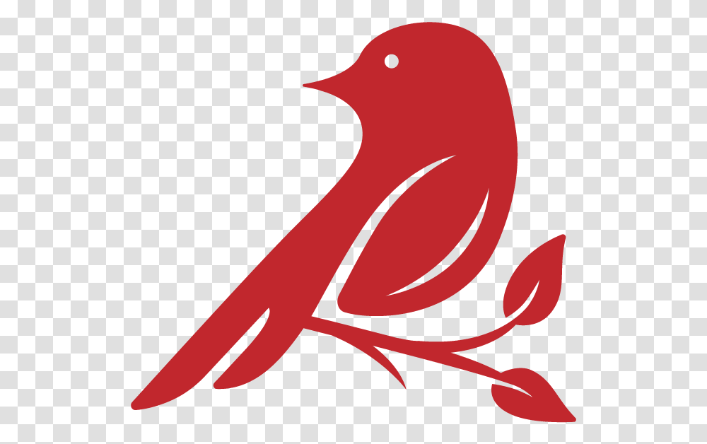 Red Bird Theater Cda - The Red Bird Theater Red Bird Graphic, Animal, Text, Seagull, Finch Transparent Png