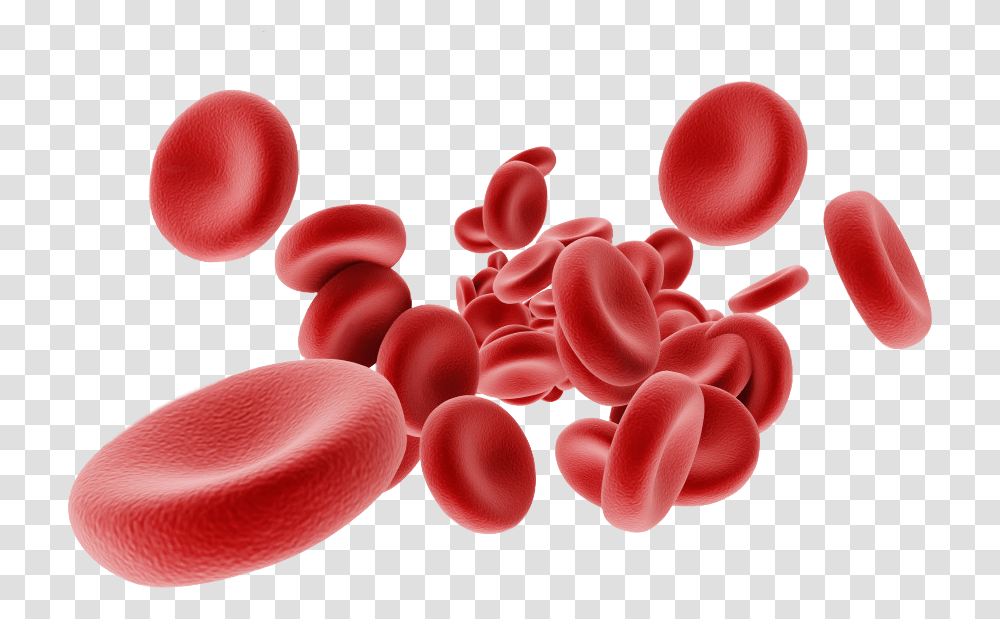 Red Blood Cells, Stomach, Heart, Food, Skin Transparent Png