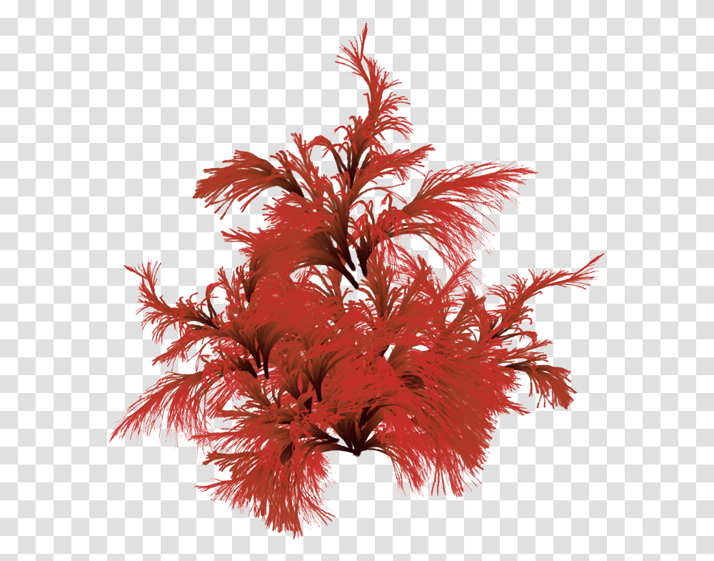 Red Brown Algae, Apparel, Feather Boa, Scarf Transparent Png