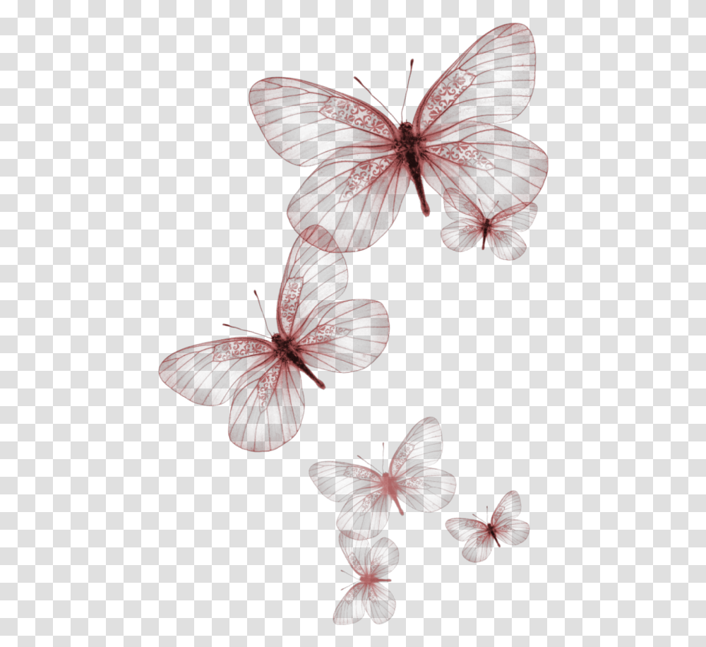 Red Butterflies, Plant, Petal, Flower, Geranium Transparent Png