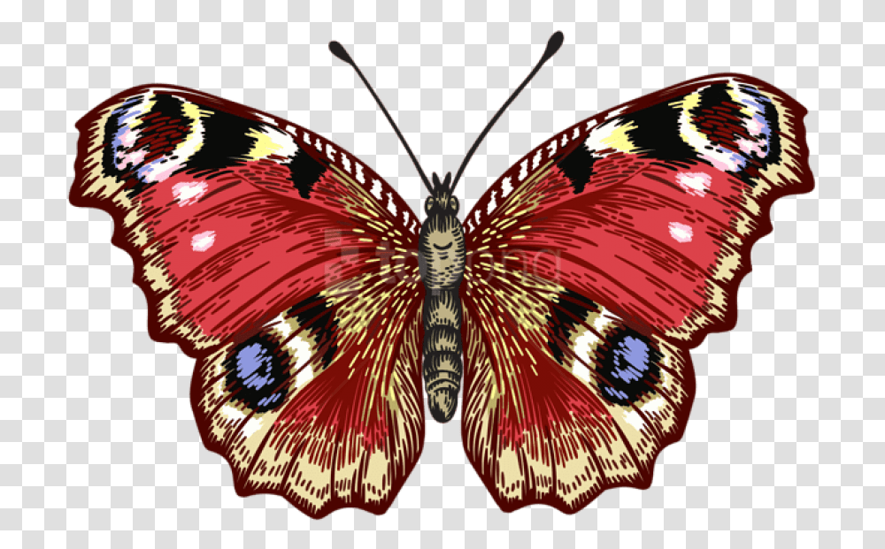 Red Butterfly Brush Footed Butterfly, Pattern, Ornament, Insect, Invertebrate Transparent Png