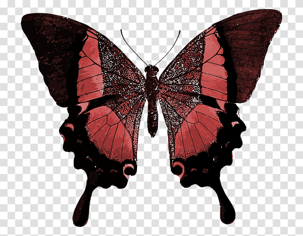 Red Butterfly Butterfly Quotes Your Wings Are Ready, Pattern, Ornament, Fractal Transparent Png