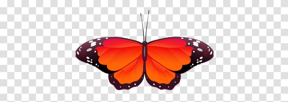 Red Butterfly Clip Art Clip Art Butterfly, Insect, Invertebrate, Animal, Pattern Transparent Png