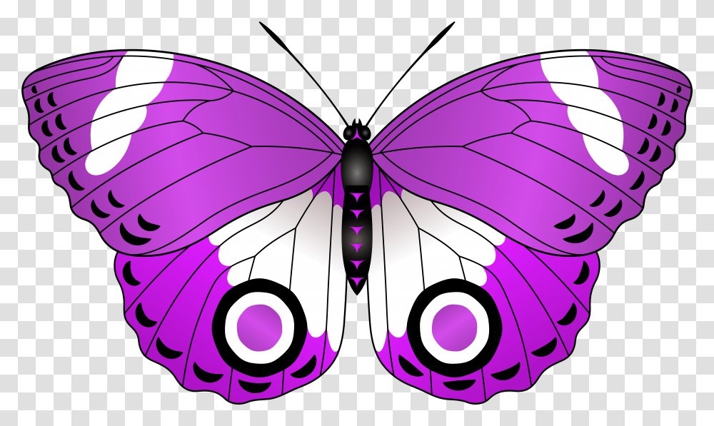 Red Butterfly Clipart Download, Purple, Animal, Pattern Transparent Png