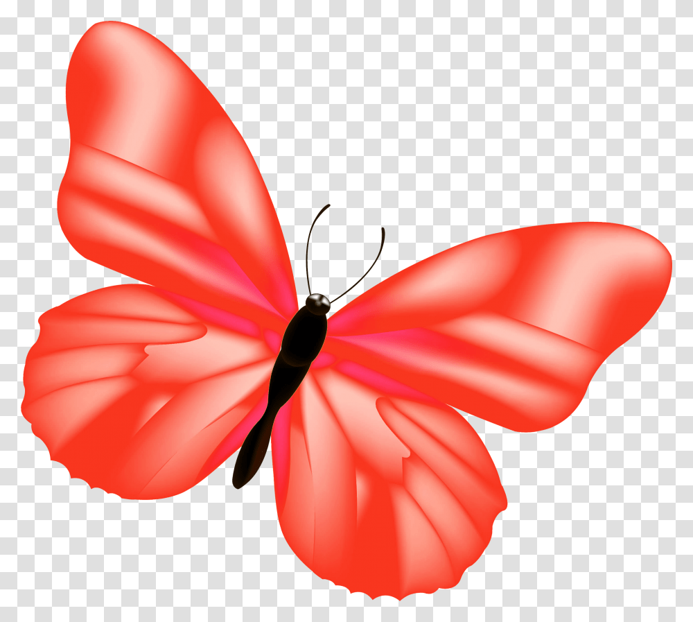 Red Butterfly Clipart Oranger Schmetterling, Petal, Flower, Plant, Blossom Transparent Png