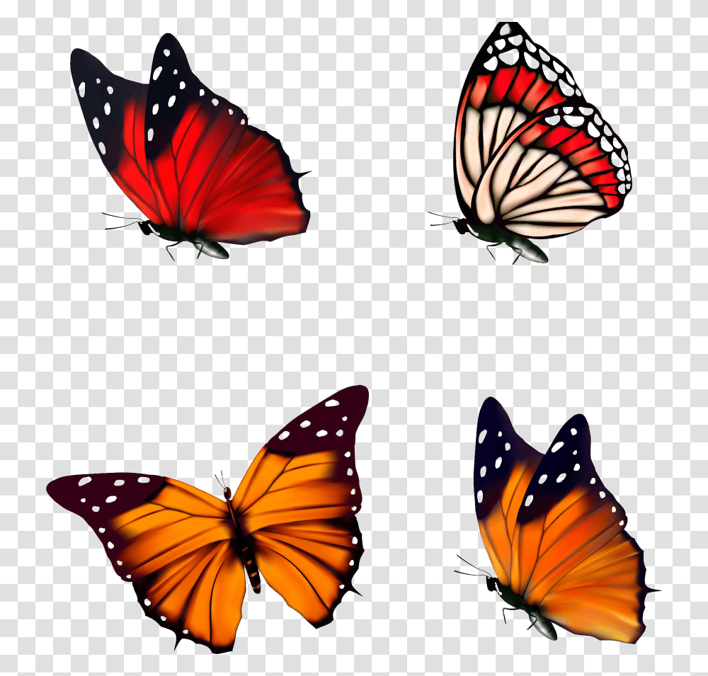 Red Butterfly, Insect, Invertebrate, Animal, Monarch Transparent Png