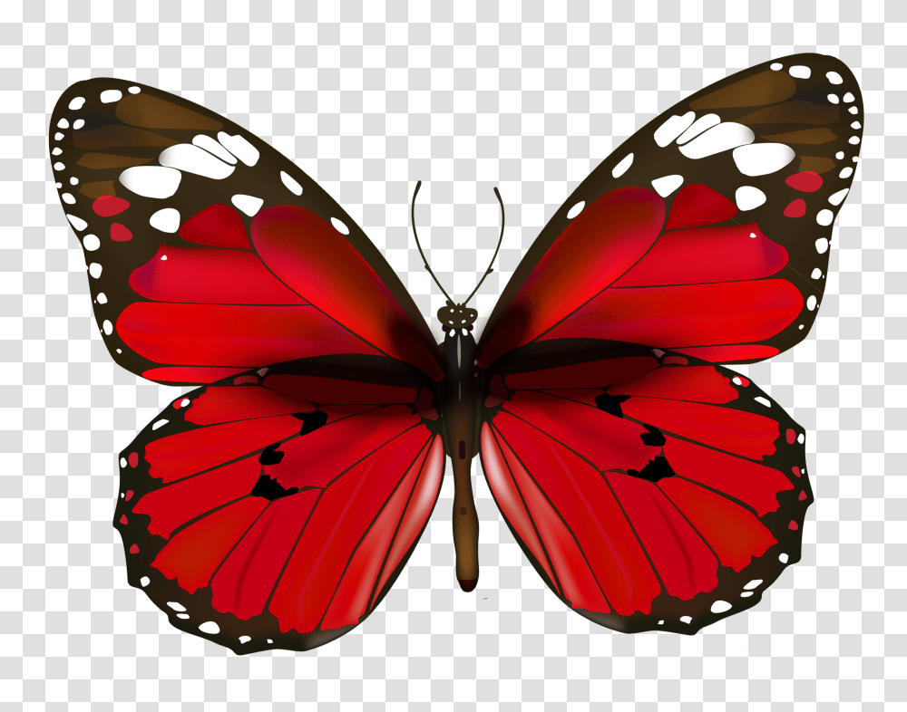 Red Butterfly, Ornament, Pattern, Fractal Transparent Png