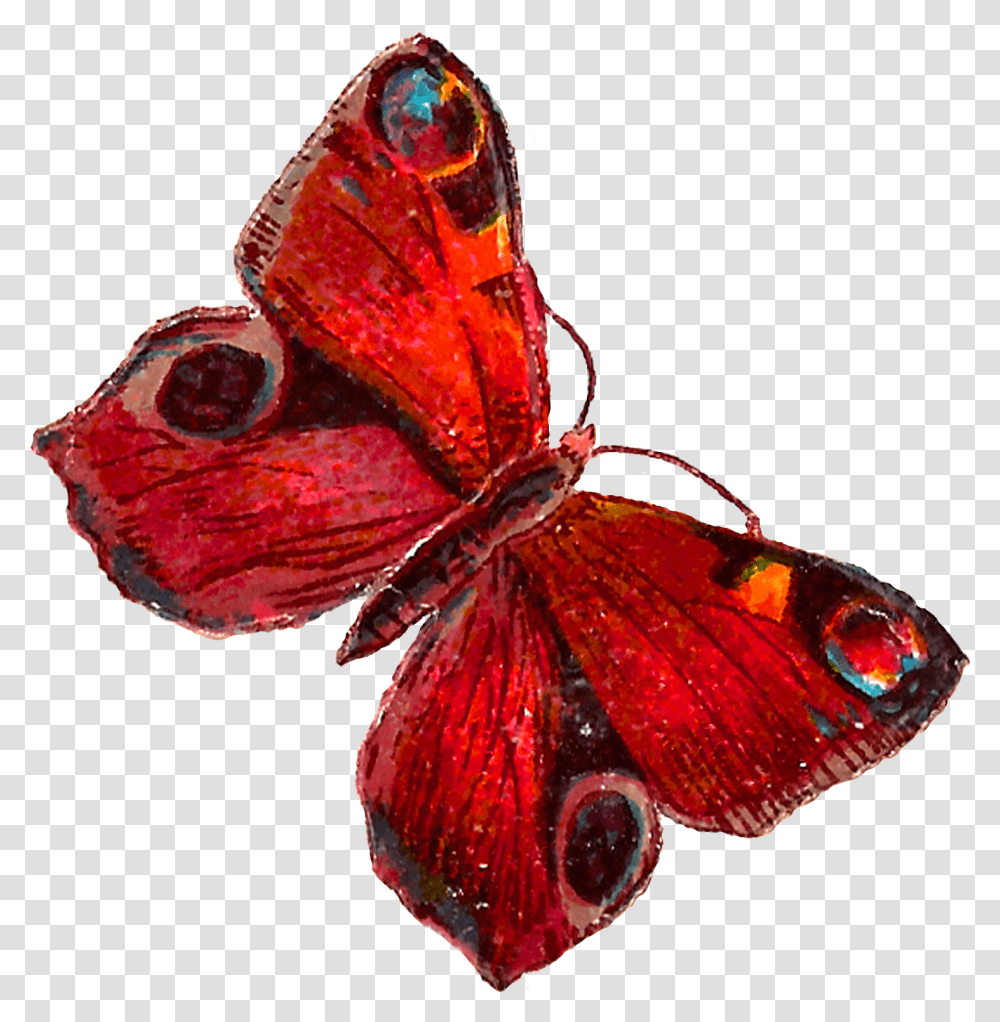 Red Butterfly Pic Red Butterfly Illustration, Plant, Petal, Flower, Insect Transparent Png