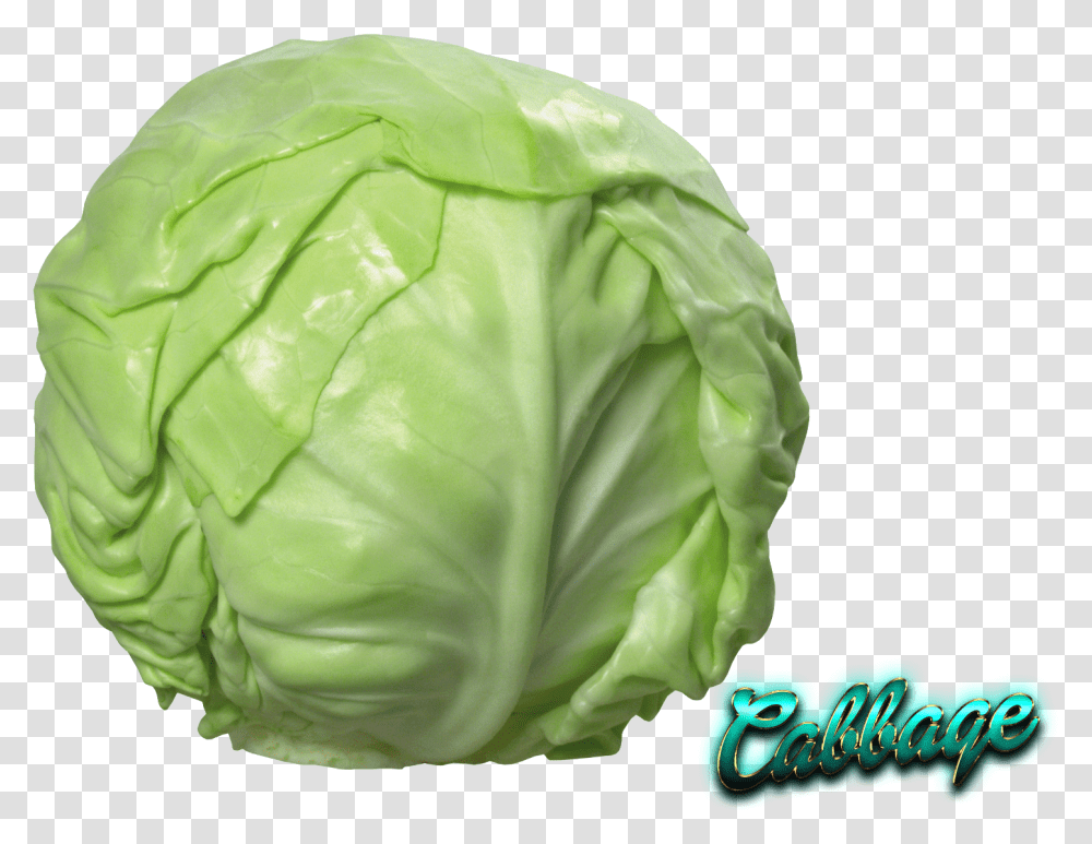 Red Cabbage Cauliflower Savoy Cabbage, Plant, Vegetable, Food, Head Cabbage Transparent Png