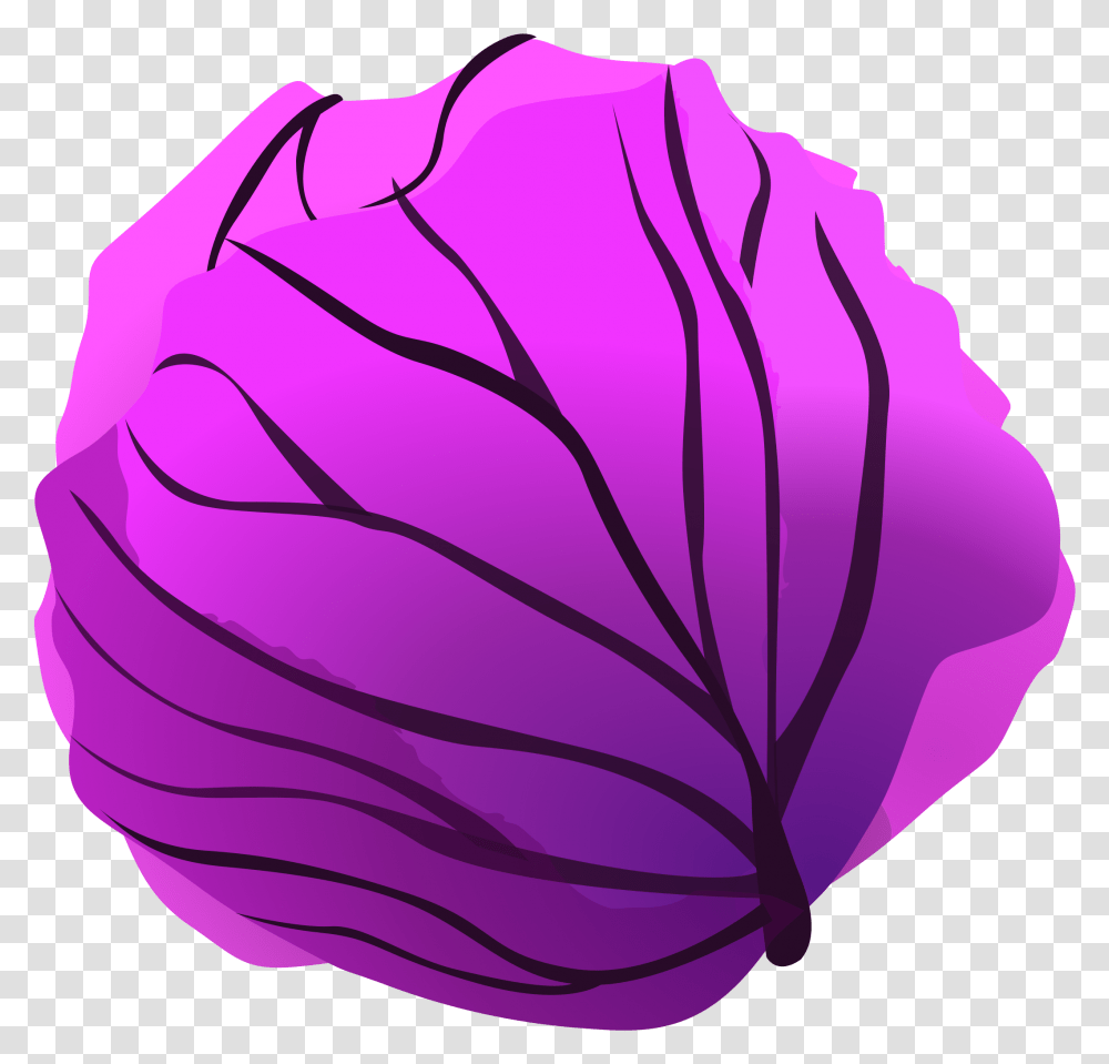 Red Cabbage Clip Arts Purple Cabbage Clipart, Plant, Petal, Flower, Blossom Transparent Png