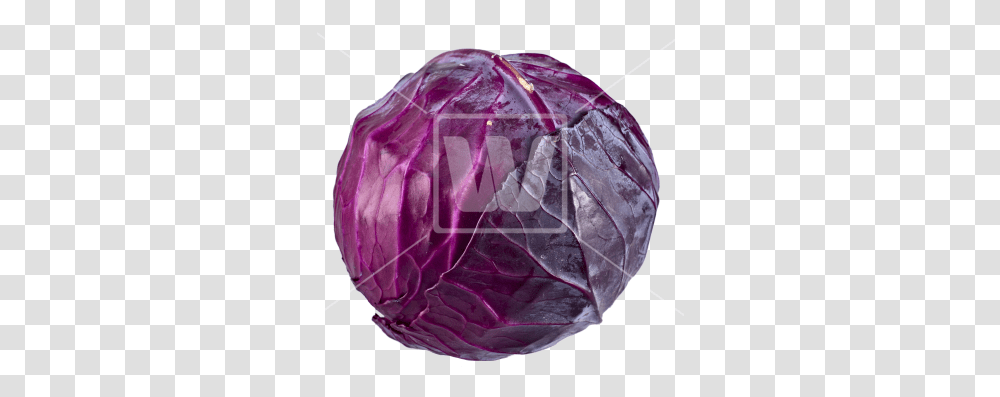 Red Cabbage Clipart Red Cabbage, Plant, Diamond, Gemstone, Jewelry Transparent Png