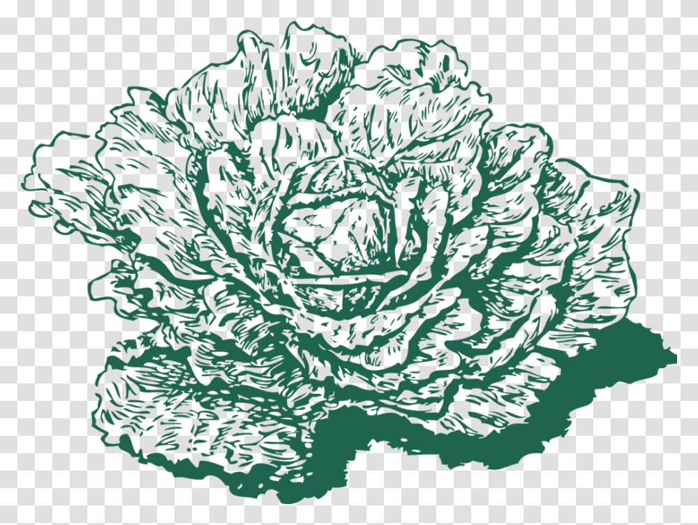 Red Cabbage Leaf Vegetable Cauliflower, Plant, Food, Tree, Pattern Transparent Png