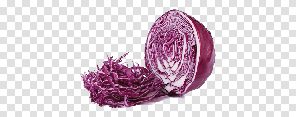 Red Cabbage - Gyro Street Red Cabbage, Plant, Vegetable, Food, Head Cabbage Transparent Png