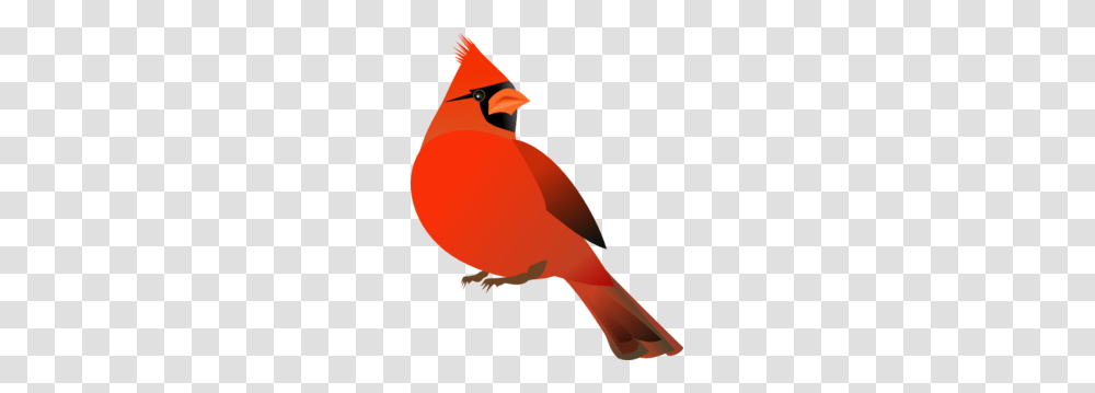 Red Cardinal Clip Art, Bird, Animal Transparent Png