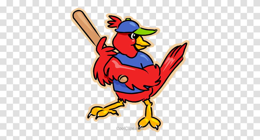 Red Cardinal Playing Baseball Royalty Free Vector Clip Art, Animal, Bird, Poultry, Fowl Transparent Png