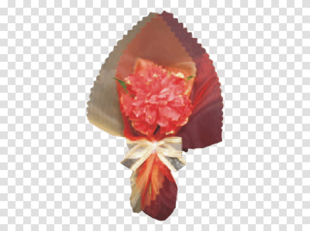 Red Carnation Fruit, Plant, Flower, Blossom Transparent Png