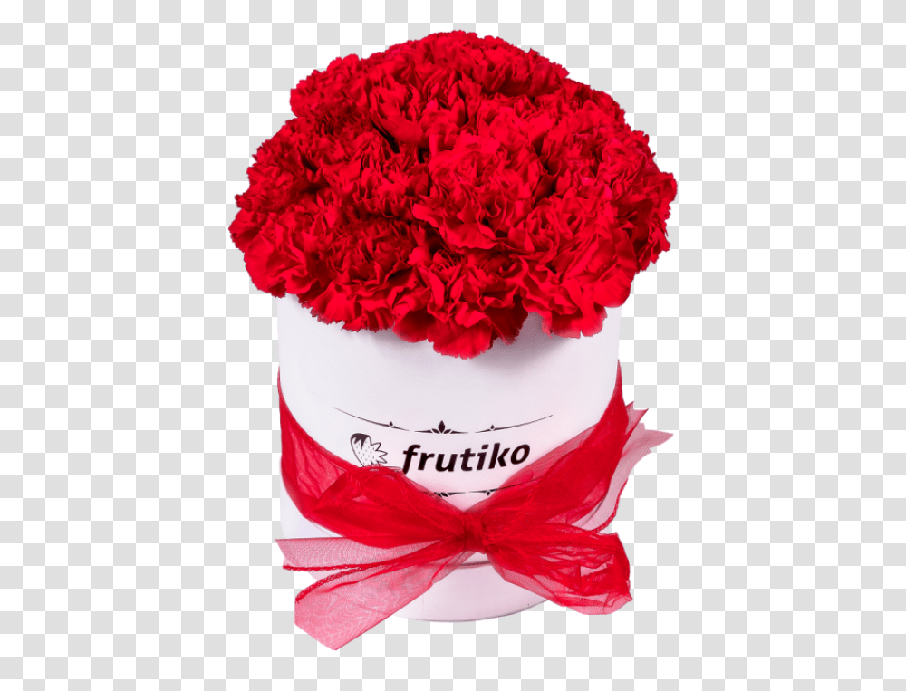 Red Carnations White Oval Box Erven Karafity, Plant, Flower, Blossom, Rose Transparent Png
