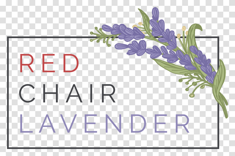 Red Chair Lavender Red Chair Lavender Eagle Idaho, Potted Plant, Vase, Jar, Pottery Transparent Png