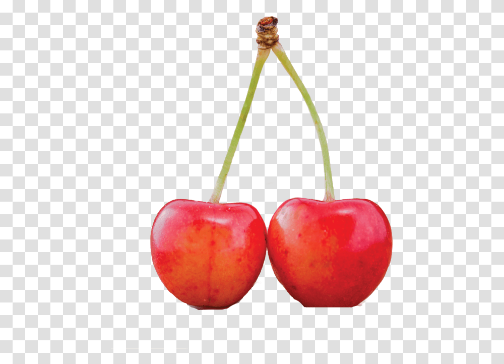 Red Cherry Free Background, Plant, Fruit, Food Transparent Png