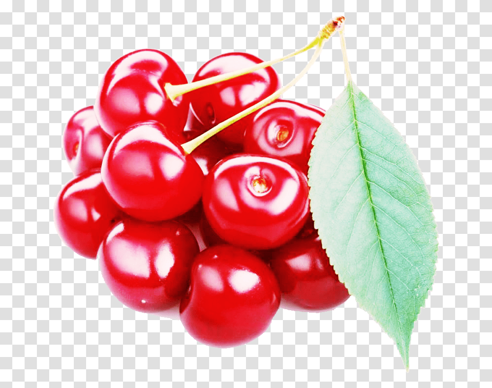 Red Cherry Free Image Cherry Fruit Hd, Plant, Food, Dynamite, Bomb Transparent Png