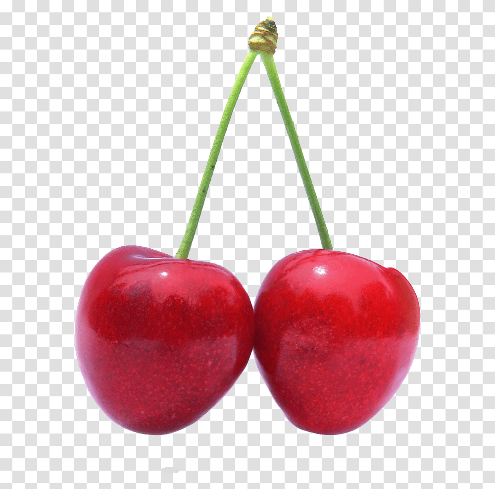 Red Cherry Image Download Fruits One By One, Plant, Food, Apple Transparent Png