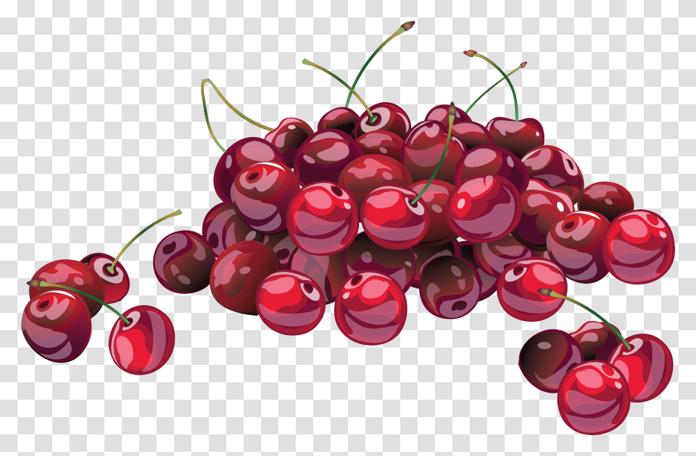 Red Cherry Image Free Download Cherries Illustration, Plant, Fruit, Food, Birthday Cake Transparent Png