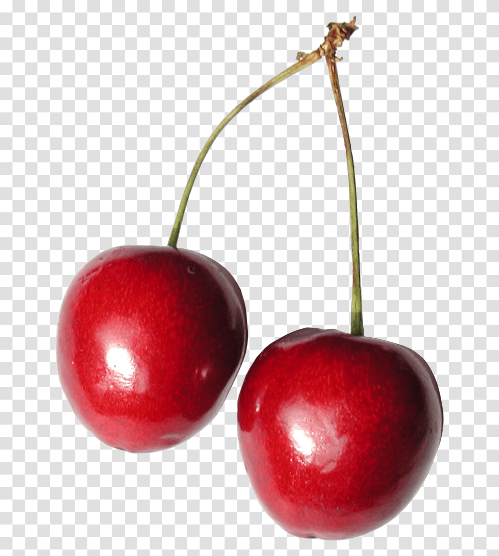 Red Cherry Image Free Download Cherry, Apple, Fruit, Plant, Food Transparent Png