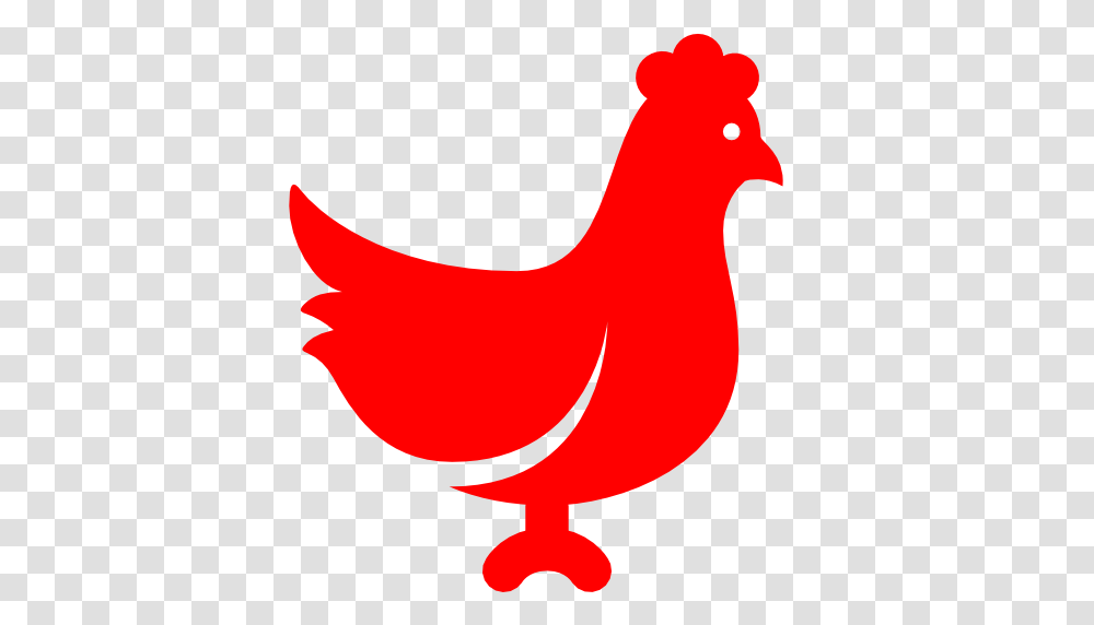 Red Chicken Clipart Clip Art Images, Animal, Bird, Fowl, Poultry Transparent Png