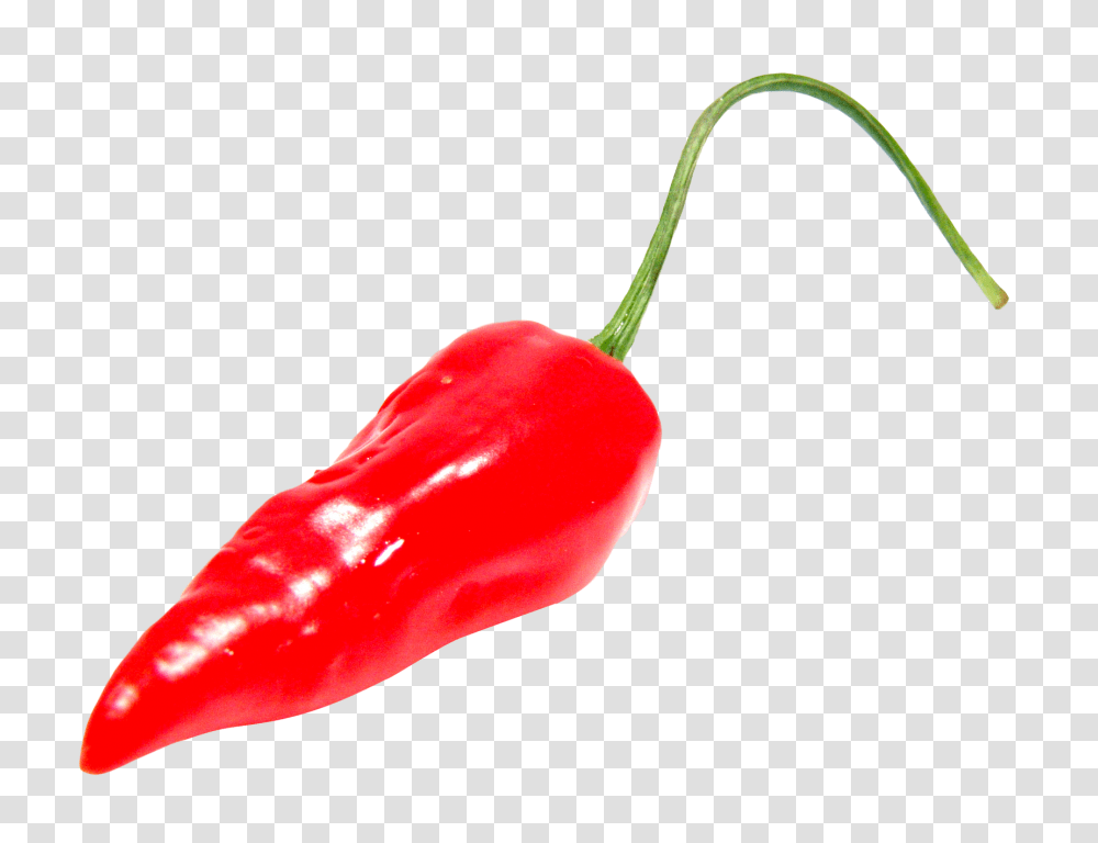 Red Chili Pepper Image, Vegetable, Plant, Food, Bell Pepper Transparent Png