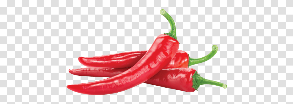 Red Chili Pepper With Love Korean Red Chili, Plant, Vegetable, Food, Bell Pepper Transparent Png