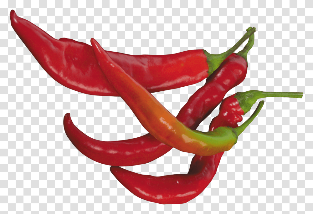 Red Chilli Pepper, Plant, Vegetable, Food, Bell Pepper Transparent Png