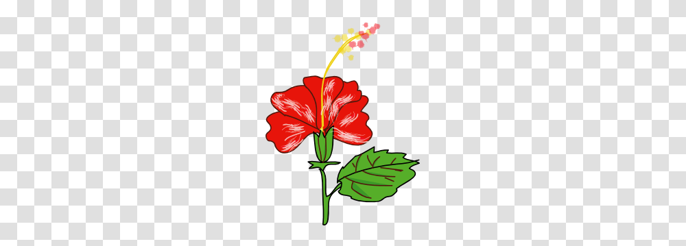 Red Clipart Gumamela, Hibiscus, Flower, Plant, Blossom Transparent Png