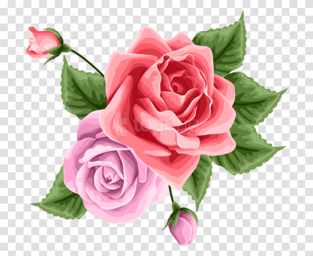 Red Cliparts Pink Decoration Roses Decoration, Flower, Plant, Blossom, Petal Transparent Png