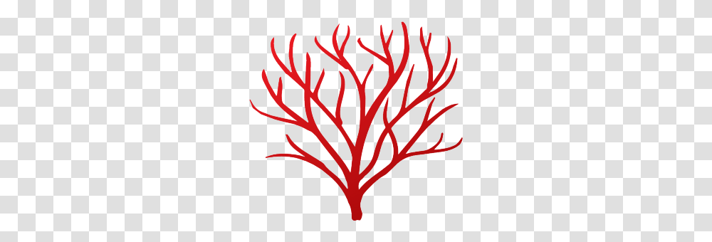 Red Coral Technologies, Pattern, Stencil Transparent Png