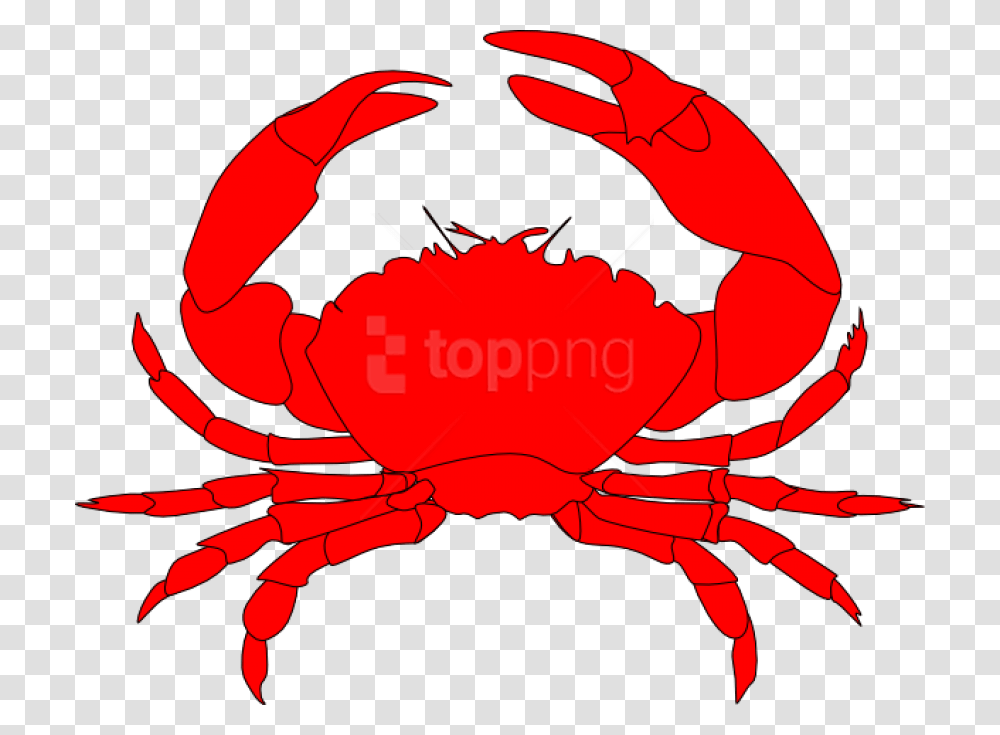 Red Crab Clipart, Seafood, Sea Life, Animal, King Crab Transparent Png