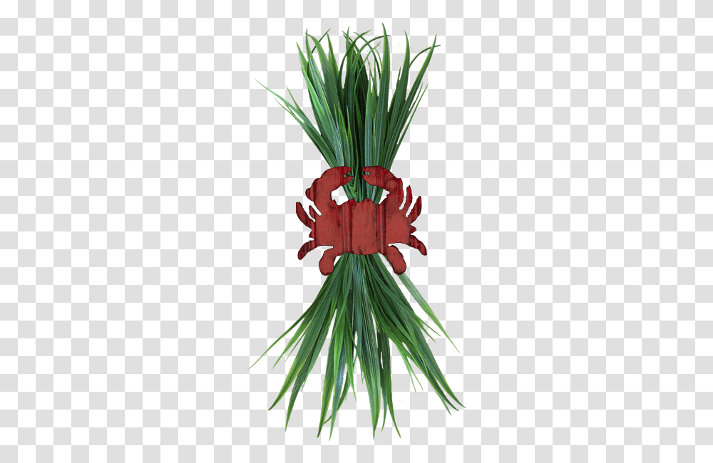 Red Crab, Plant, Flower, Flower Arrangement, Leaf Transparent Png